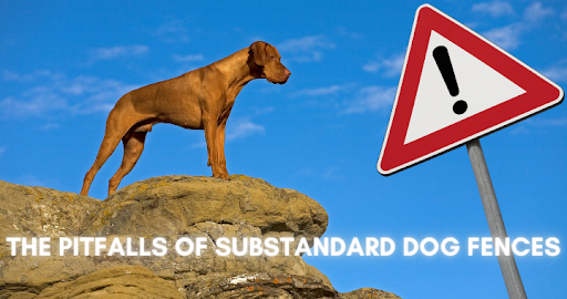 The Pitfalls of Substandard Dog Fences