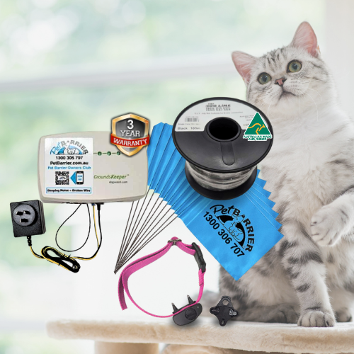 Cat fence collar clearance