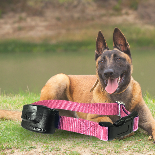 Extra R9 Premium Receiver Collar for Big Dogs