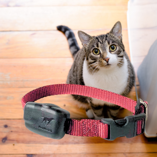 Extra R12 Mini Standard Receiver Fence Collar for Cats