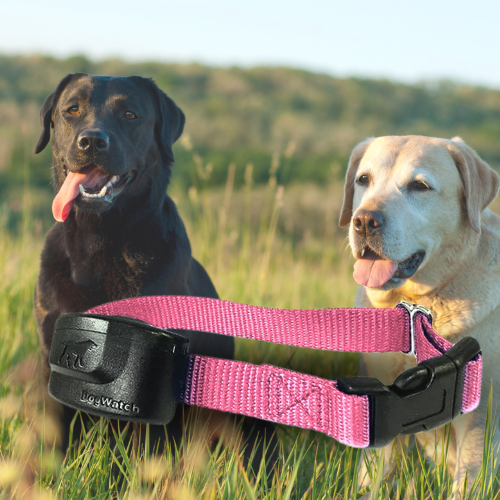 Extra R12 Standard Receiver Fence Collar for Big Dogs