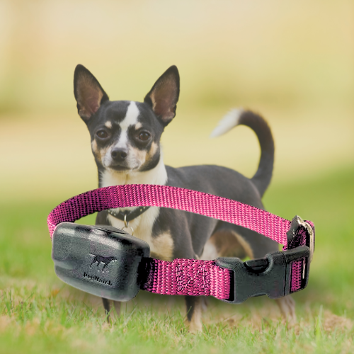 Extra R7 Premium Mini Receiver Fence Collar for Small to Medium Dogs Pet Barrier Australia