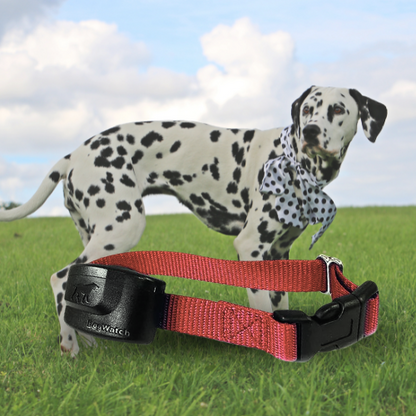 Extra R9 Premium Receiver Collar for Big Dogs