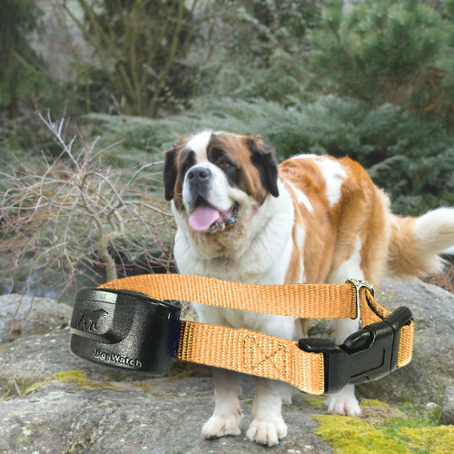 Extra R9 Premium Receiver Collar for Big Dogs