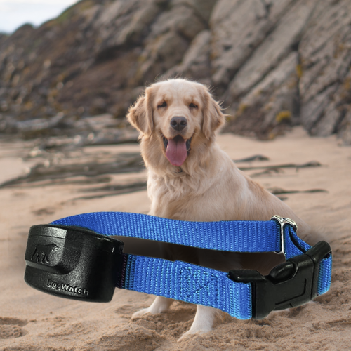 Extra R12 Standard Receiver Fence Collar for Big Dogs