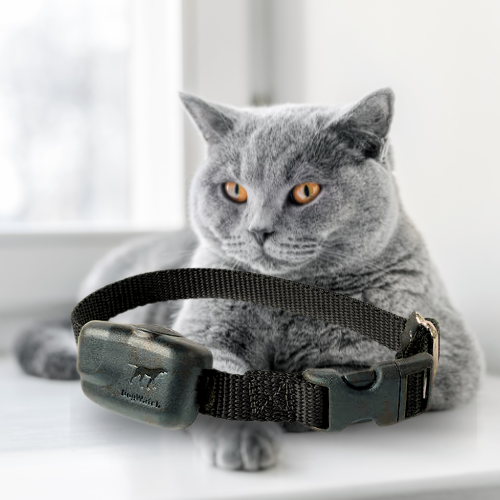 Extra R12 Mini Standard Receiver Fence Collar for Cats