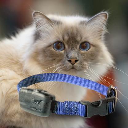 Extra R12 Mini Standard Receiver Fence Collar for Cats