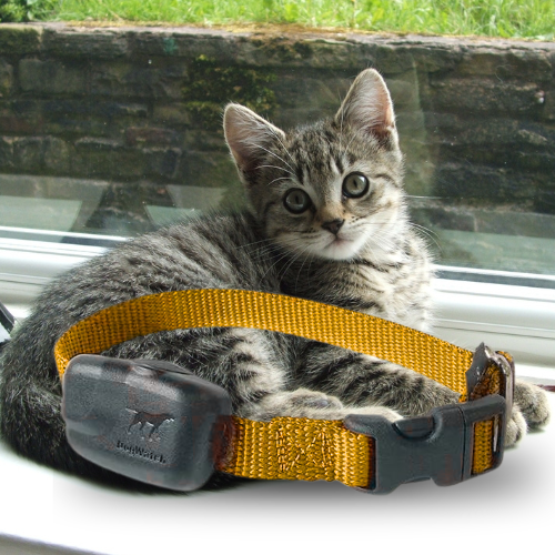 Extra R12 Mini Standard Receiver Fence Collar for Cats