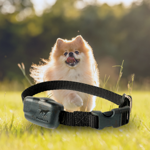 Extra R12 Mini Standard Receiver Fence Collar for Small to Medium Dogs