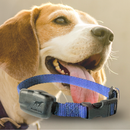 Extra R12 Mini Standard Receiver Fence Collar for Small to Medium Dogs