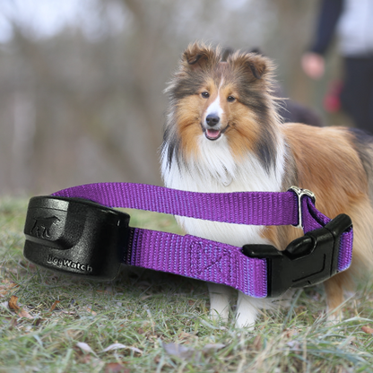 Extra R12 Standard Receiver Fence Collar for Big Dogs