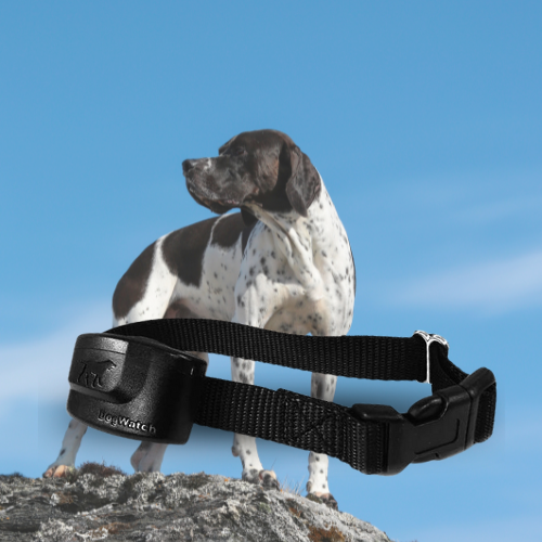 Extra R12 Standard Receiver Fence Collar for Big Dogs