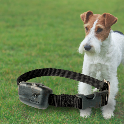 Extra R7 Premium Mini Receiver Fence Collar for Small to Medium Dogs