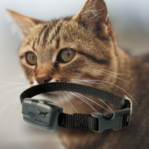 Cat containment collar best sale