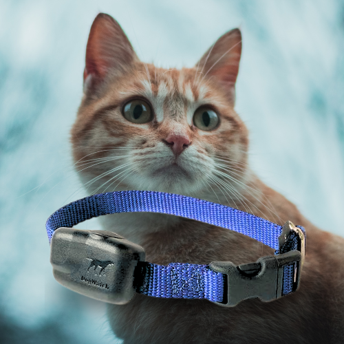 Extra R7 Premium Mini Receiver Fence Collar for Stubborn Cats Pet Barrier Australia