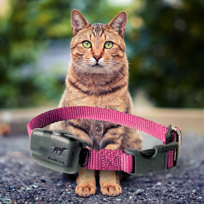 Extra R7 Premium Mini Receiver Fence Collar for Stubborn Cats