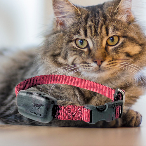 Extra R7 Premium Mini Receiver Fence Collar for Stubborn Cats