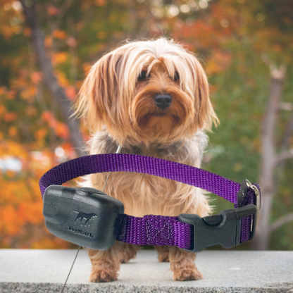 Extra R7 Premium Mini Receiver Fence Collar for Small to Medium Dogs